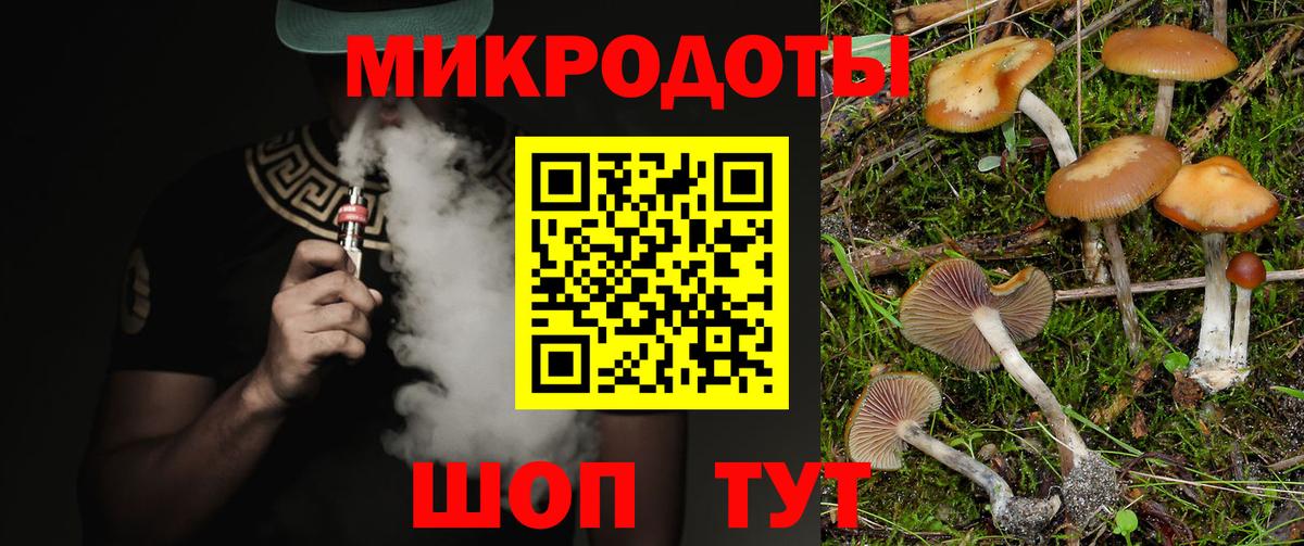 Псилоцибиновые грибы Стрежевой