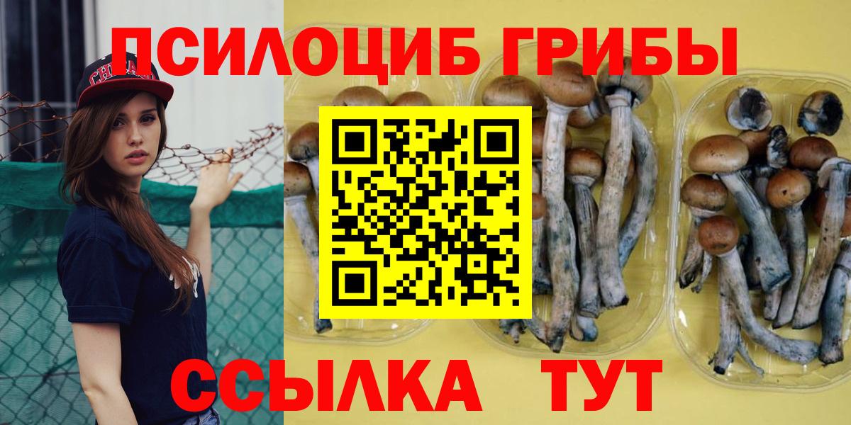 Псилоцибиновые грибы ЛСД Стрежевой